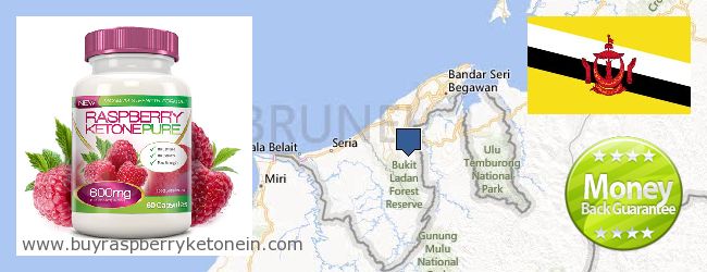 Hvor kan jeg købe Raspberry Ketone online Brunei
