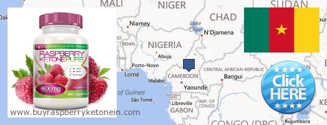 Hvor kan jeg købe Raspberry Ketone online Cameroon