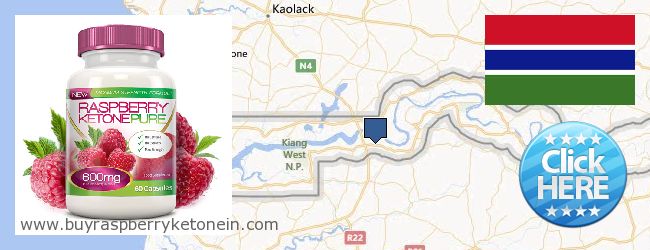 Hvor kan jeg købe Raspberry Ketone online Gambia