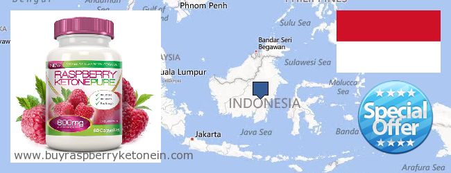 Hvor kan jeg købe Raspberry Ketone online Indonesia