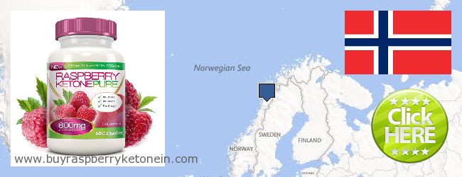 Hvor kan jeg købe Raspberry Ketone online Norway