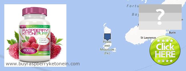 Hvor kan jeg købe Raspberry Ketone online Saint Pierre And Miquelon