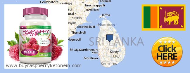 Hvor kan jeg købe Raspberry Ketone online Sri Lanka