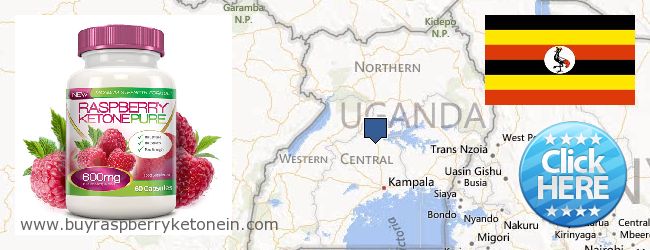 Hvor kan jeg købe Raspberry Ketone online Uganda