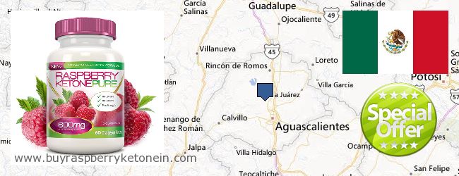 Where to Buy Raspberry Ketone online Aguascalientes, Mexico
