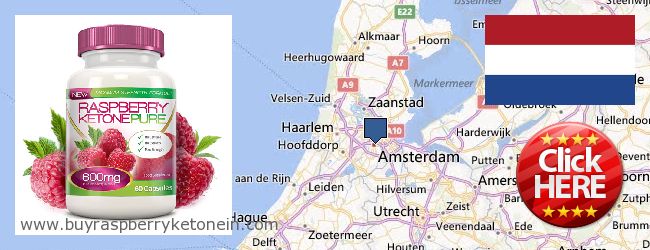 Buy Raspberry Ketone online Amsterdam, Netherlands Where to Buy Raspberry Ketone online Amsterdam, Netherlands