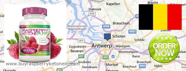 Where to Buy Raspberry Ketone online Antwerp, Belgium
