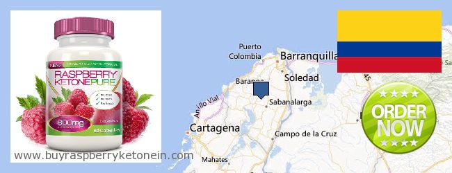 Where to Buy Raspberry Ketone online Atlántico, Colombia