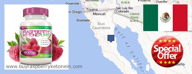 Where to Buy Raspberry Ketone online Baja California, Mexico