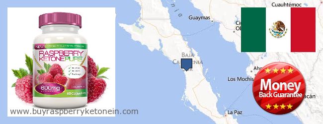 Where to Buy Raspberry Ketone online Baja California Sur, Mexico