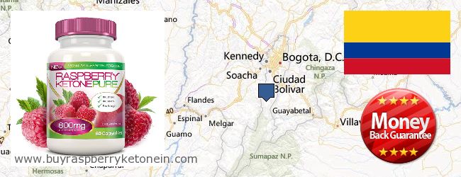 Where to Buy Raspberry Ketone online Bogotá, Distrito Especial, Colombia