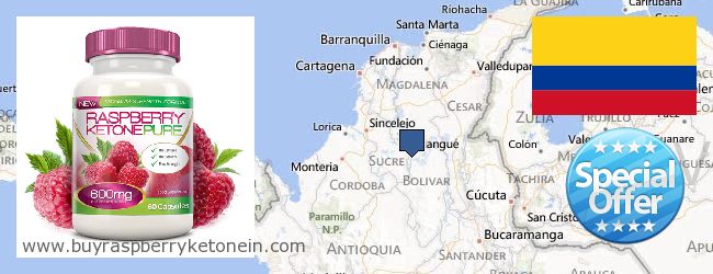 Where to Buy Raspberry Ketone online Bolívar, Colombia