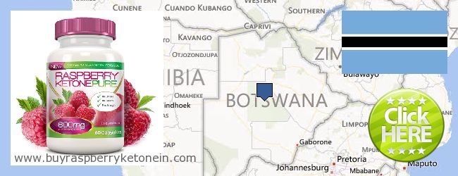 Buy Raspberry Ketone online Botswana Where to Buy Raspberry Ketone online Botswana