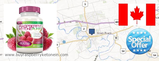 Where to Buy Raspberry Ketone online Brantford ONT, Canada