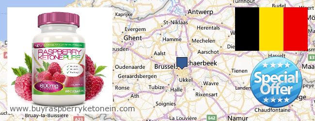 Where to Buy Raspberry Ketone online Brussels, Belgium