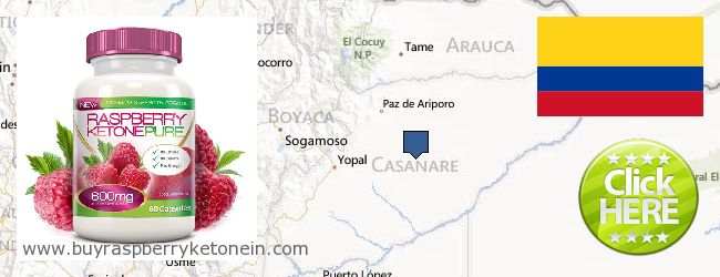 Where to Buy Raspberry Ketone online Casanare, Colombia