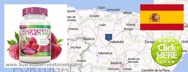 Where to Buy Raspberry Ketone online Castilla y León, Spain