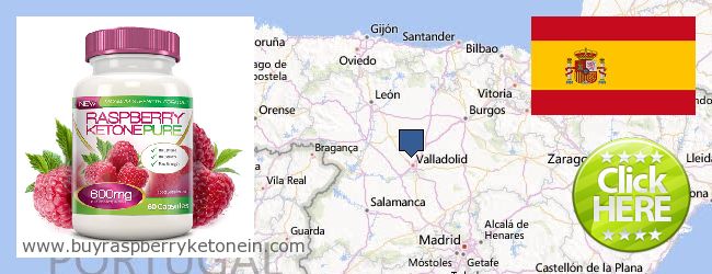 Buy Raspberry Ketone online Castilla y León, Spain Where to Buy Raspberry Ketone online Castilla y León, Spain