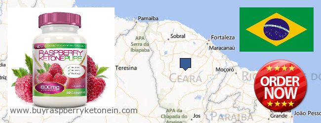 Where to Buy Raspberry Ketone online Ceará, Brazil