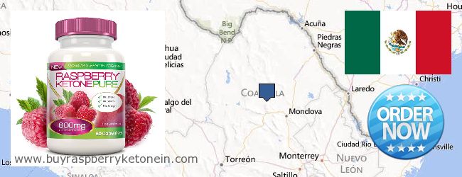 Where to Buy Raspberry Ketone online Coahuila (de Zaragoza), Mexico