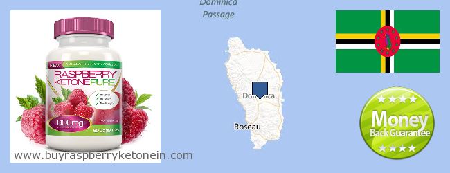 Where to Buy Raspberry Ketone online Dominica