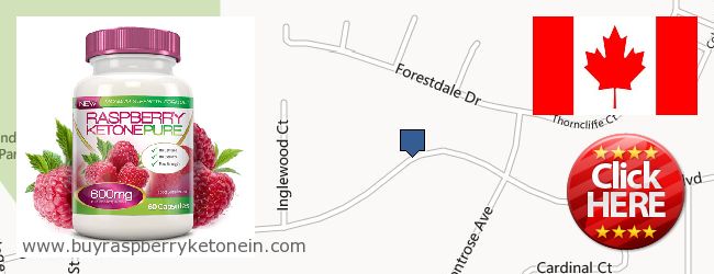 Buy Raspberry Ketone online Greater Sudbury (Grand Sudbury) ONT, Canada Where to Buy Raspberry Ketone online Greater Sudbury (Grand Sudbury) ONT, Canada