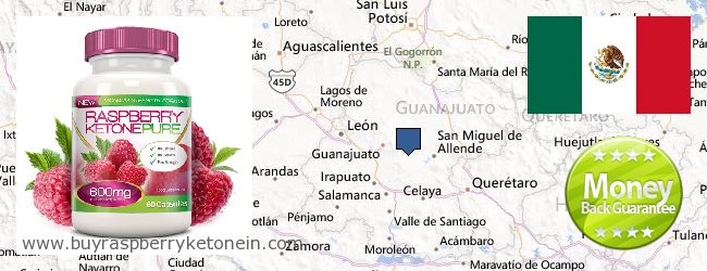 Where to Buy Raspberry Ketone online Guanajuato, Mexico