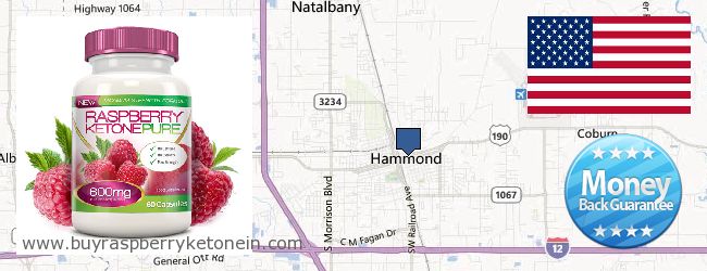 Where to Buy Raspberry Ketone online Hammond LA, United States