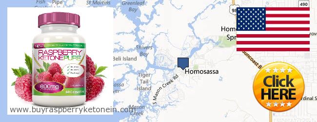Where to Buy Raspberry Ketone online Homosassa Springs (- Beverly Hills - Citrus Springs) FL, United States