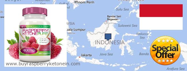 Where to Buy Raspberry Ketone online Indonesia