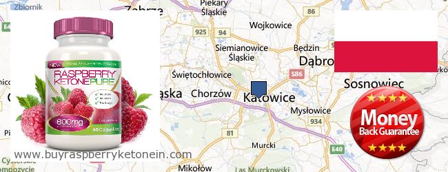 Where to Buy Raspberry Ketone online Katowice, Poland
