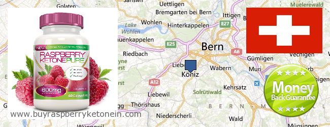 Where to Buy Raspberry Ketone online Köniz, Switzerland