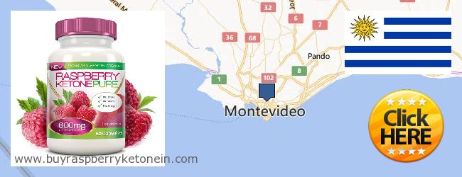 Where to Buy Raspberry Ketone online Montevideo, Uruguay
