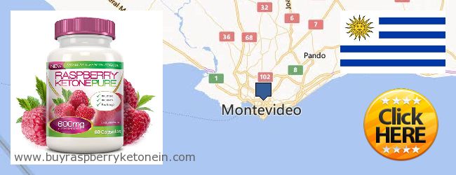 Buy Raspberry Ketone online Montevideo, Uruguay Where to Buy Raspberry Ketone online Montevideo, Uruguay
