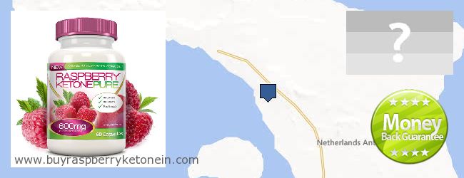 Buy Raspberry Ketone online Netherlands Antilles Where to Buy Raspberry Ketone online Netherlands Antilles
