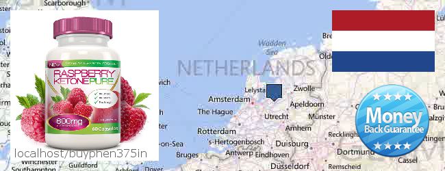 Buy Raspberry Ketone online Netherlands Where to Buy Raspberry Ketone online Netherlands