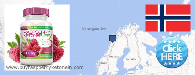 Where to Buy Raspberry Ketone online Norway