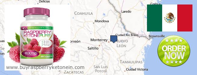 Where to Buy Raspberry Ketone online Nuevo León, Mexico