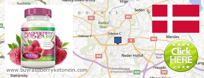 Where to Buy Raspberry Ketone online Odense, Denmark