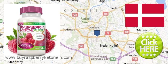 Buy Raspberry Ketone online Odense, Denmark Where to Buy Raspberry Ketone online Odense, Denmark