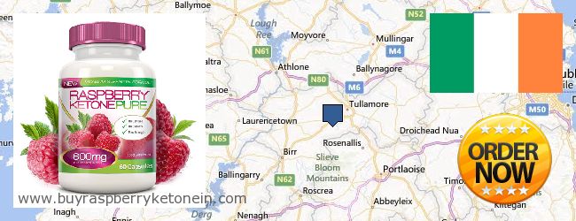 Where to Buy Raspberry Ketone online Offaly, Ireland