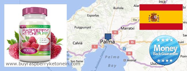 Where to Buy Raspberry Ketone online Palma de Mallorca, Spain