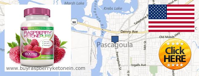 Where to Buy Raspberry Ketone online Pascagoula MS, United States