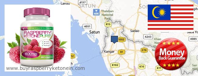 Where to Buy Raspberry Ketone online Perlis, Malaysia