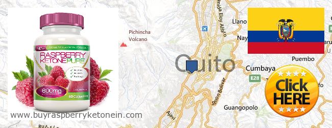 Where to Buy Raspberry Ketone online Quito, Ecuador