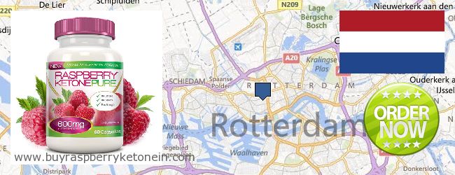 Buy Raspberry Ketone online Rotterdam, Netherlands Where to Buy Raspberry Ketone online Rotterdam, Netherlands