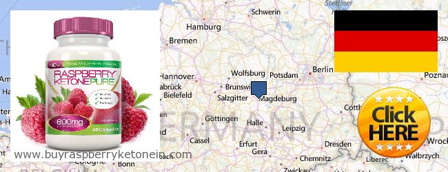 Where to Buy Raspberry Ketone online Sachsen-Anhalt, Germany