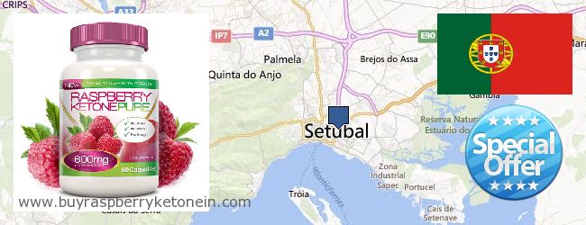 Where to Buy Raspberry Ketone online Setúbal, Portugal