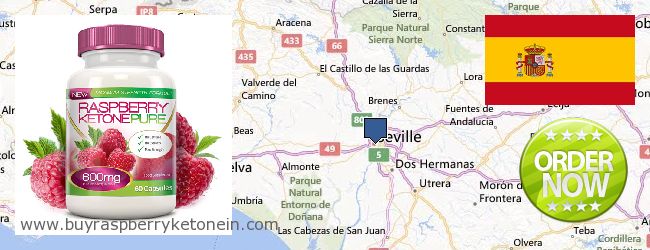 Where to Buy Raspberry Ketone online Seville, Spain
