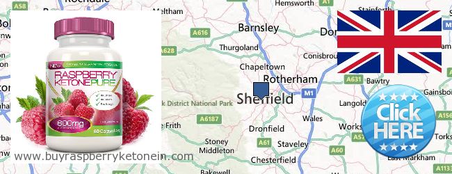 Where to Buy Raspberry Ketone online Sheffield, United Kingdom